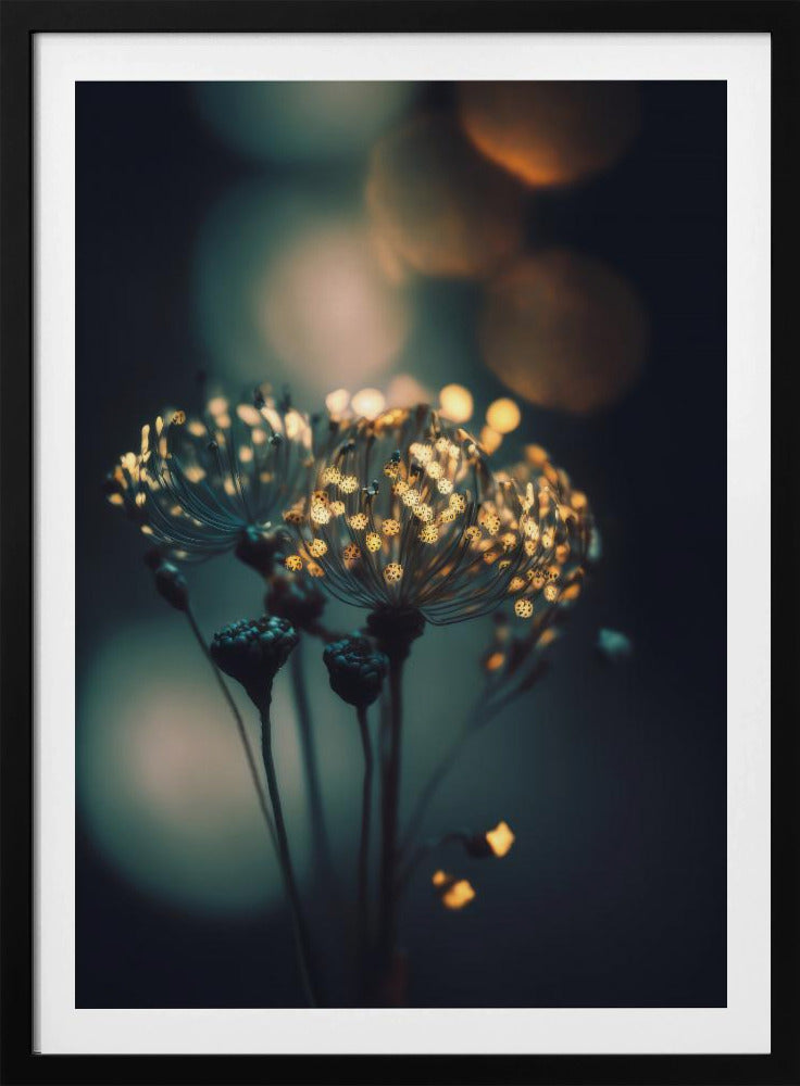 Verzauberte Blüten | Poster