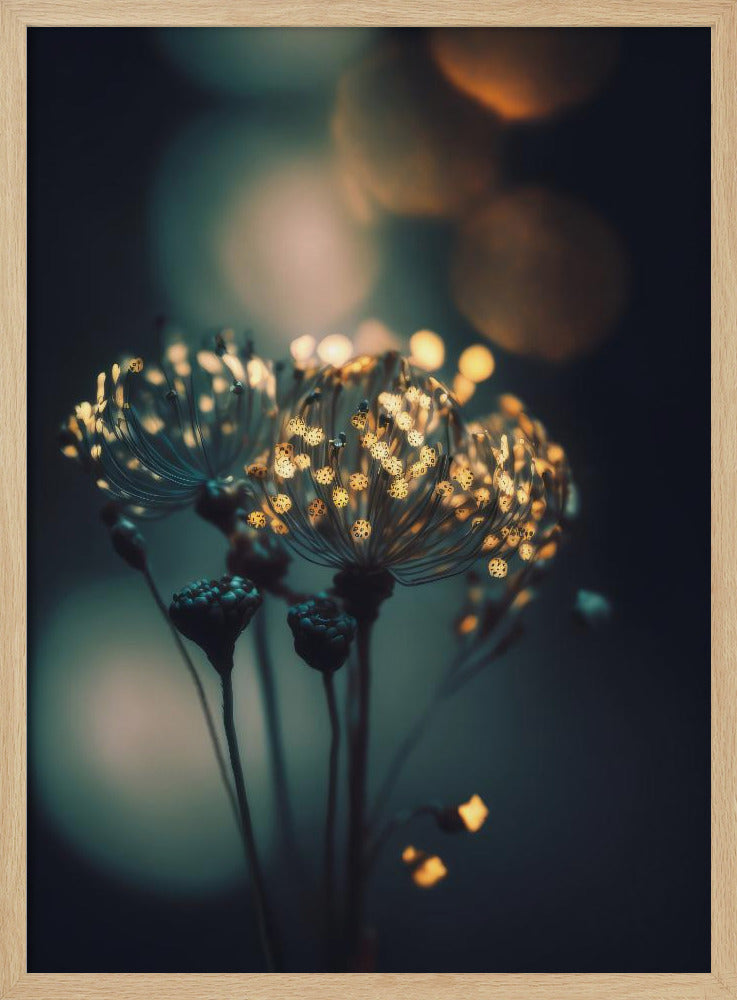 Verzauberte Blüten | Poster