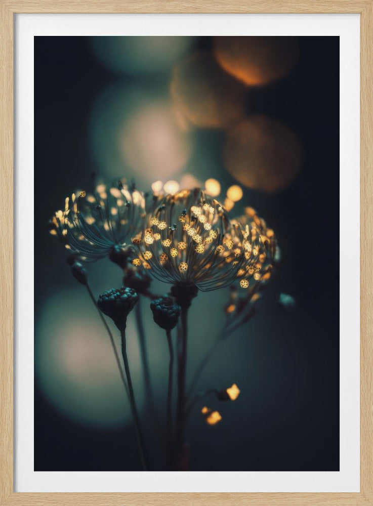 Verzauberte Blüten | Poster