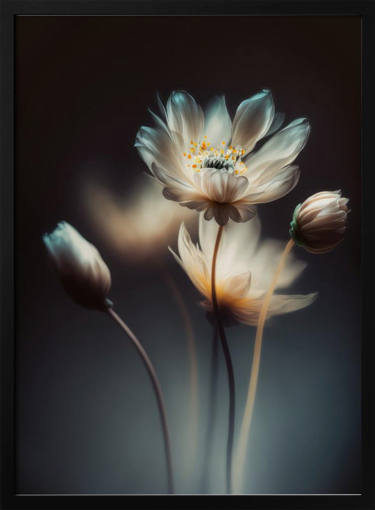 Ätherische Blüten | Poster