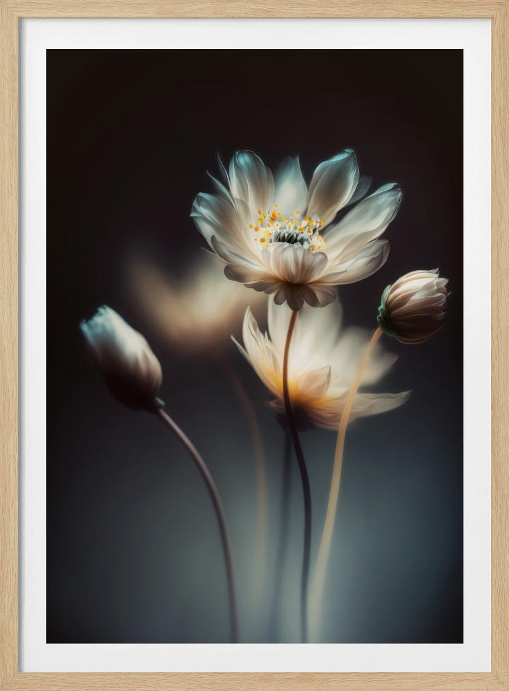 Ätherische Blüten | Poster