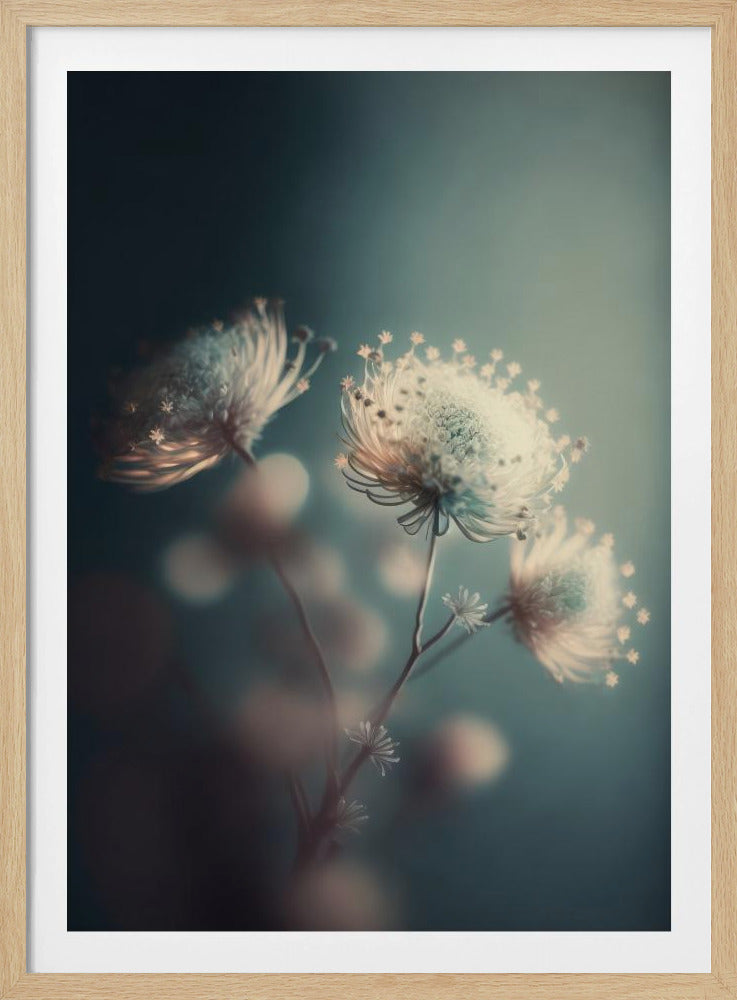 Ätherische Blüten | Poster
