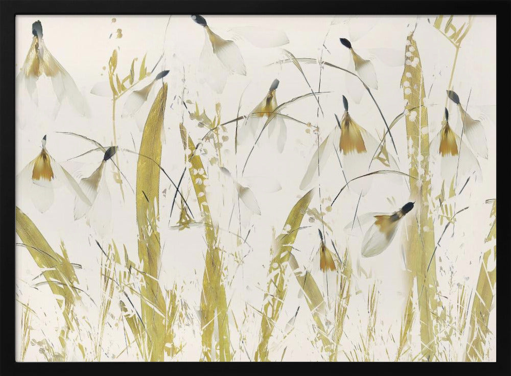 Snowdrops | Poster