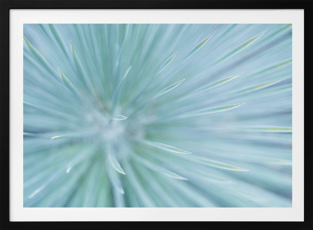 Weiche Spikes | Poster