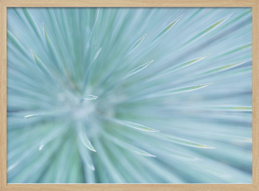Weiche Spikes | Poster