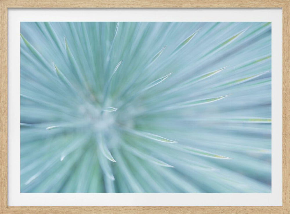 Weiche Spikes | Poster