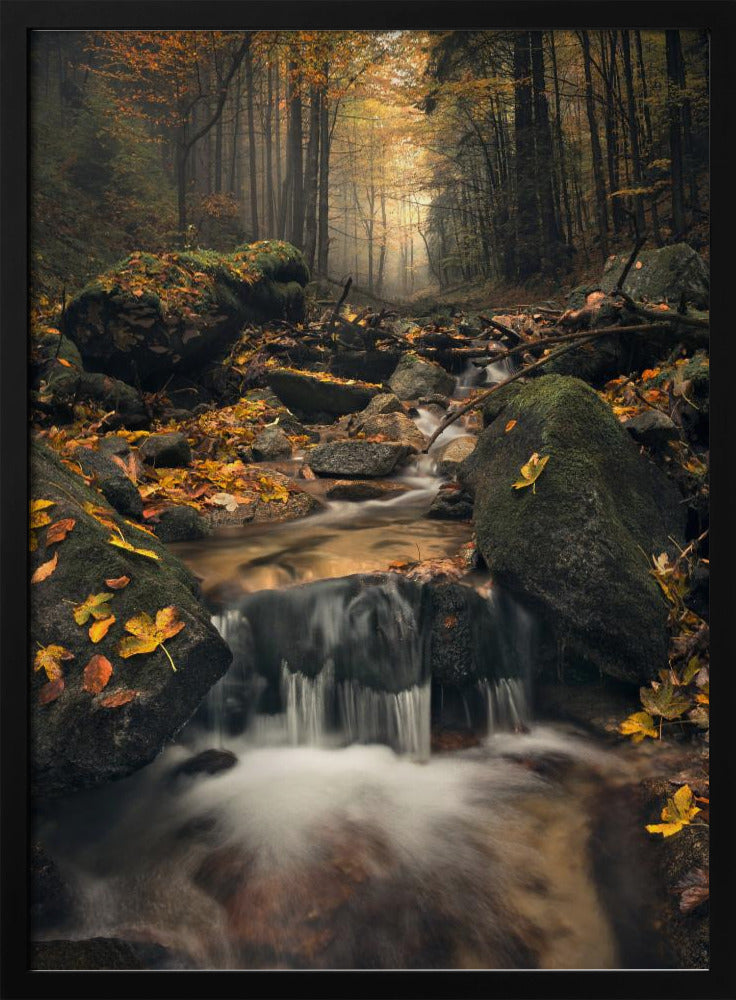 Verträumter Herbst | Poster