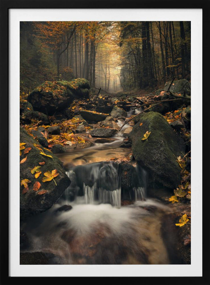 Verträumter Herbst | Poster