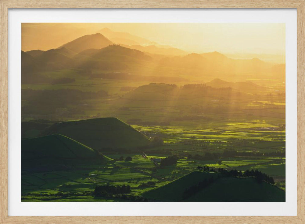Rays of Hope | Poster