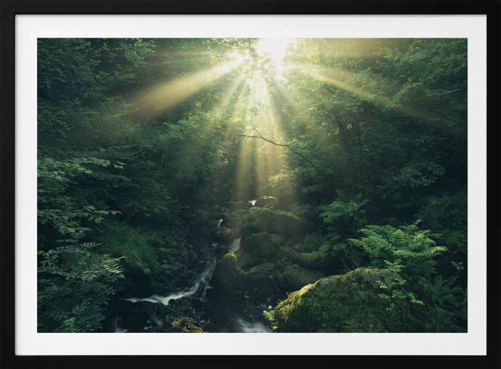 Green Rays | Poster