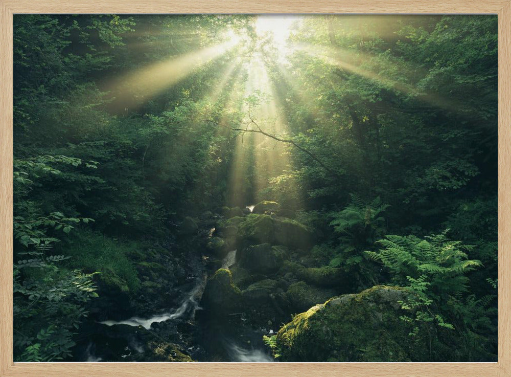 Green Rays | Poster