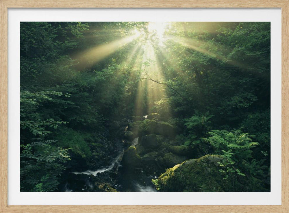 Green Rays | Poster
