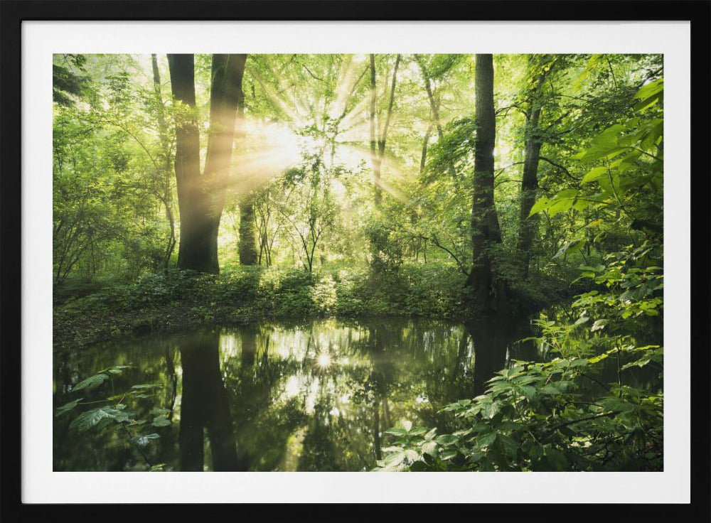 Green Park | Poster