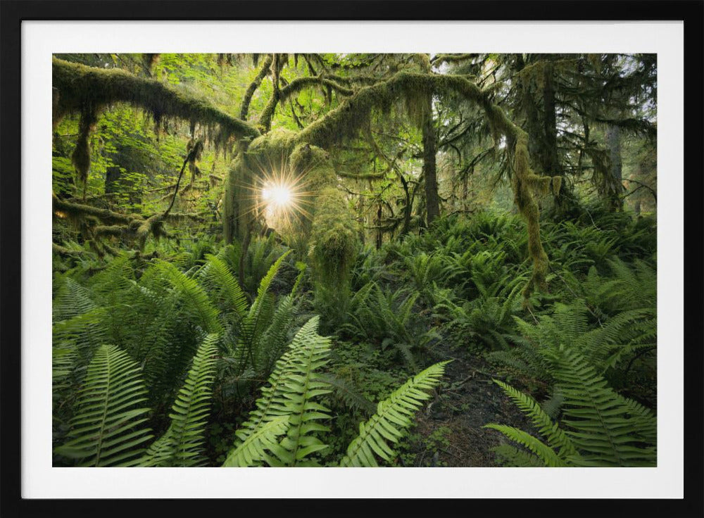 Elks Gateway | Poster