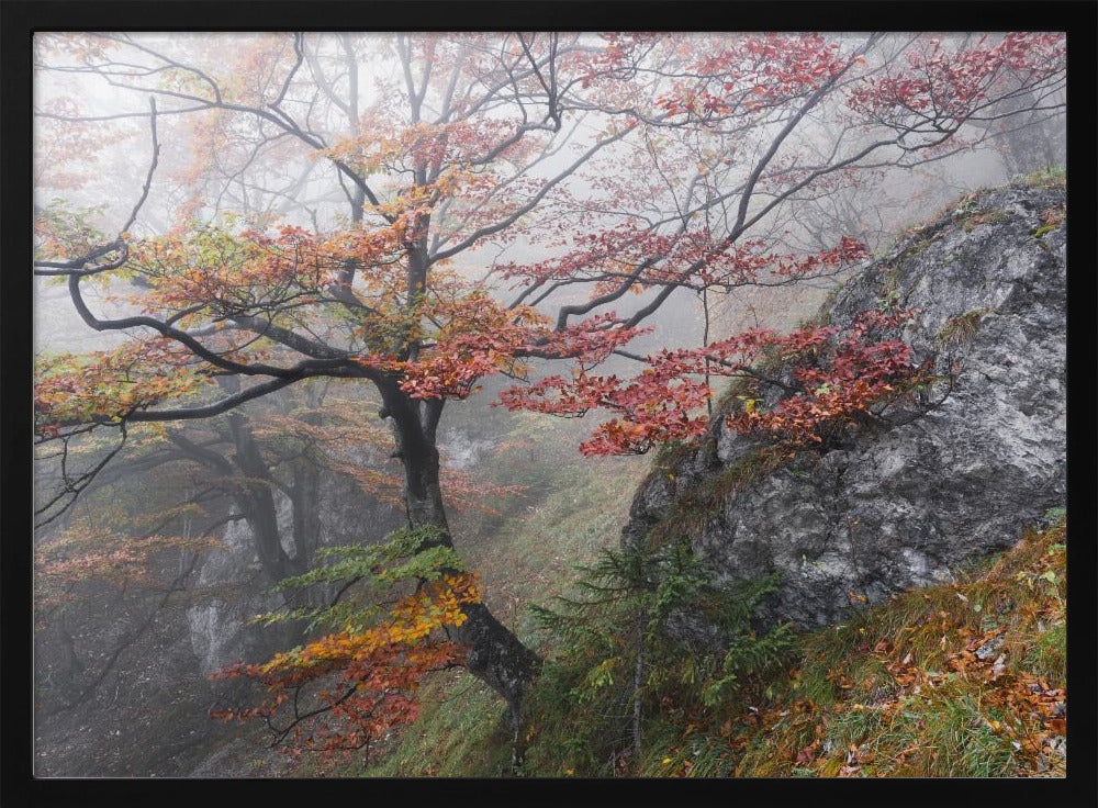 Nebliger Wald | Poster