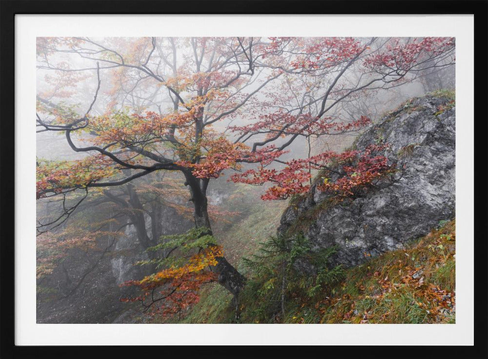Nebliger Wald | Poster