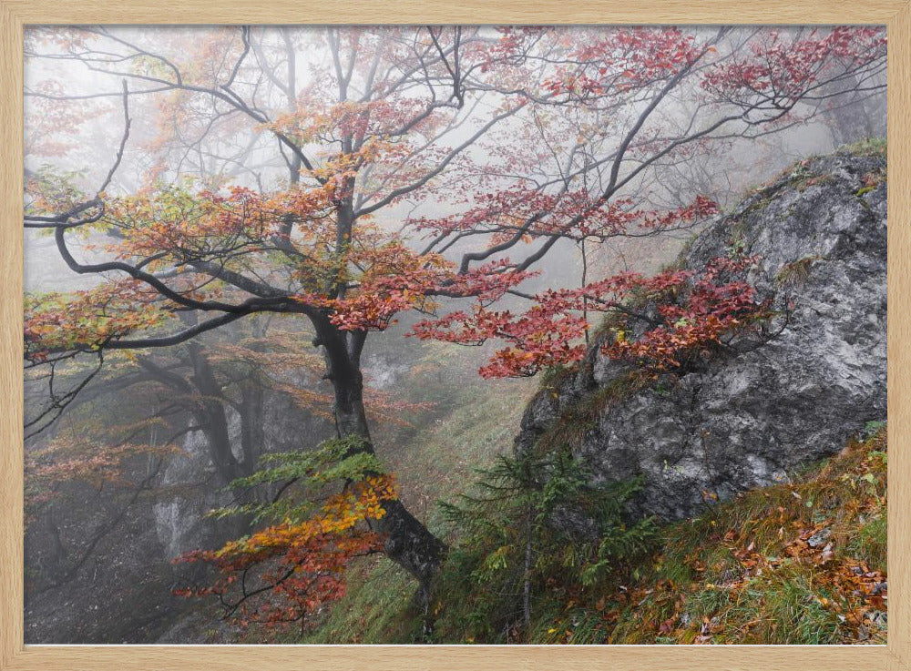 Nebliger Wald | Poster
