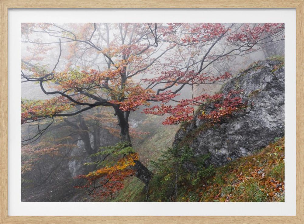 Nebliger Wald | Poster