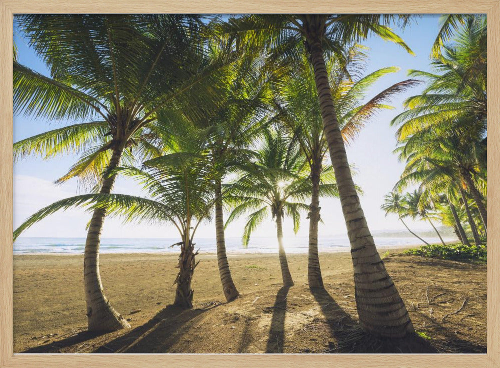 Tropischer Morgen | Poster