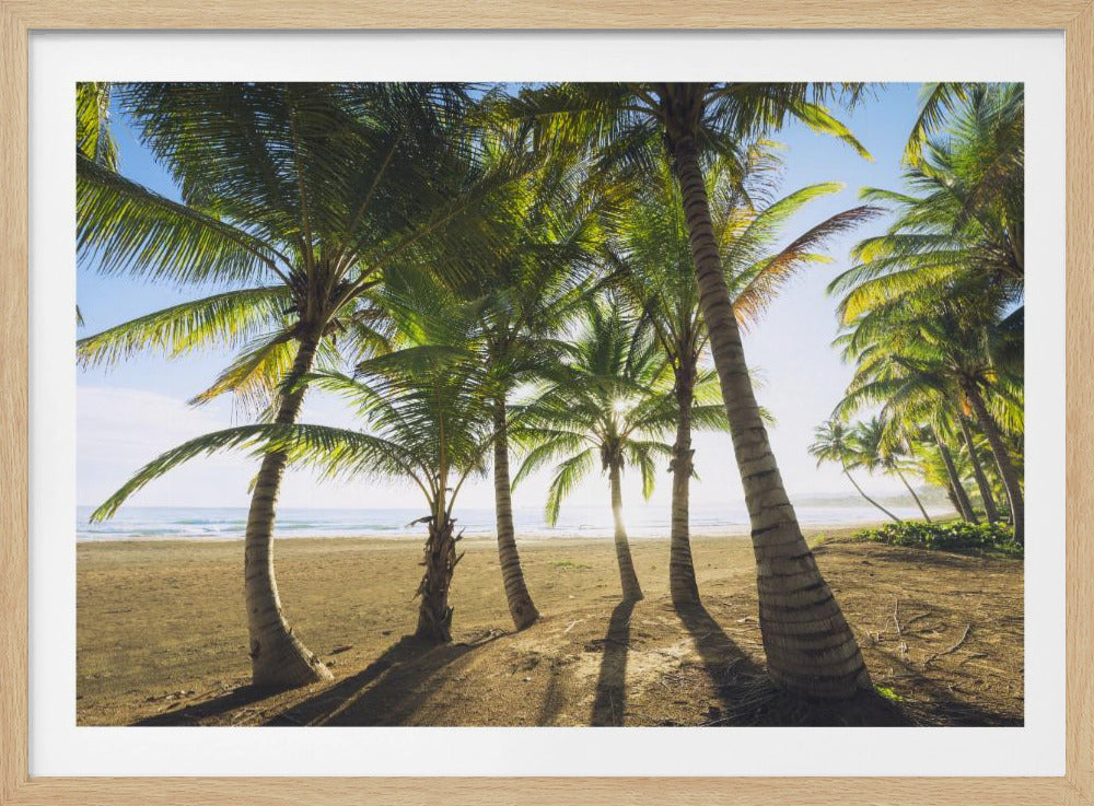 Tropischer Morgen | Poster