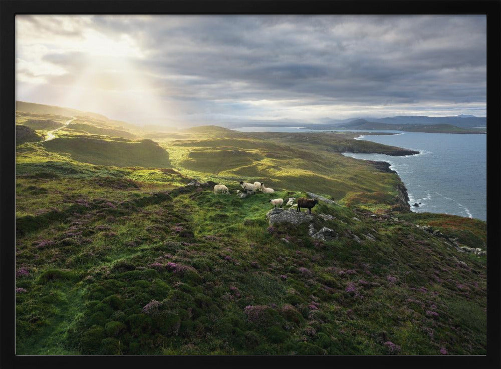 Guten Morgen Irland | Poster