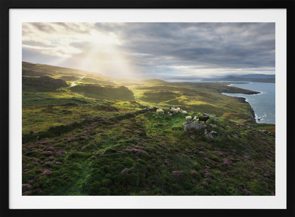 Guten Morgen Irland | Poster