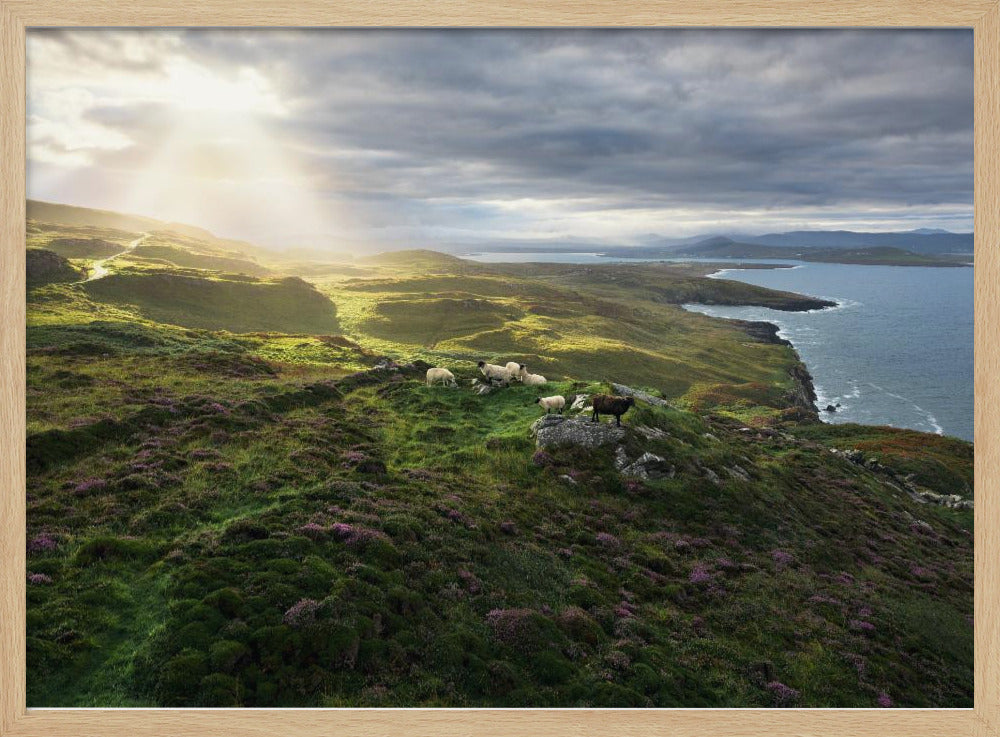 Guten Morgen Irland | Poster