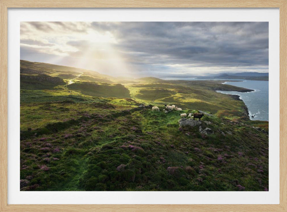 Guten Morgen Irland | Poster