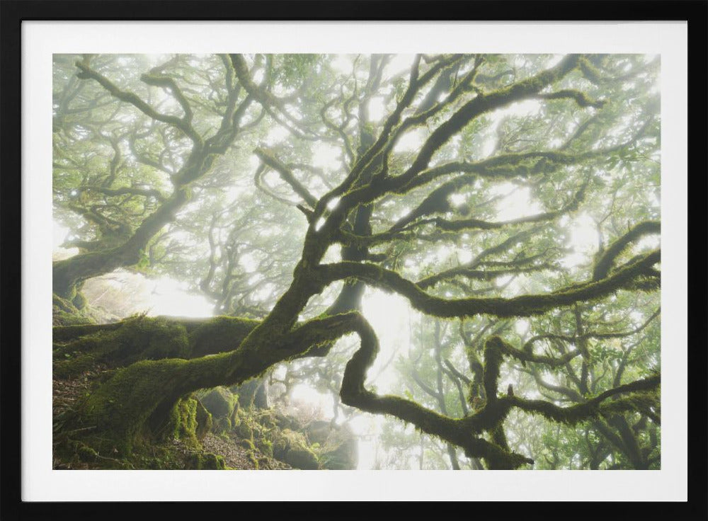 Magischer Moment | Poster
