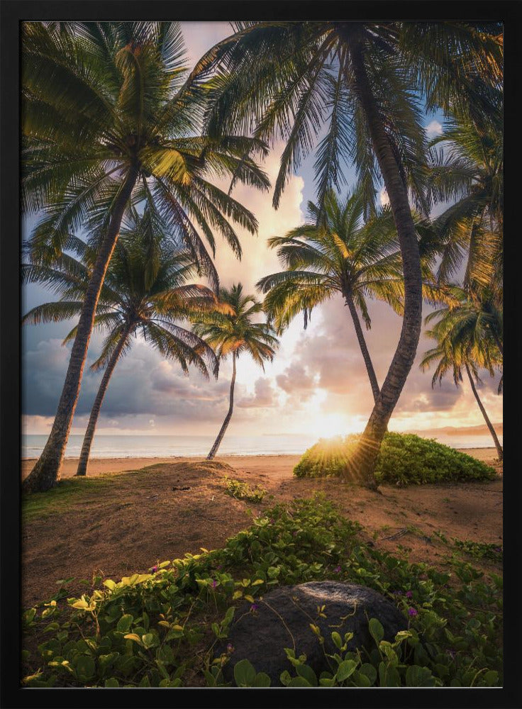 Vertikales Paradies | Poster