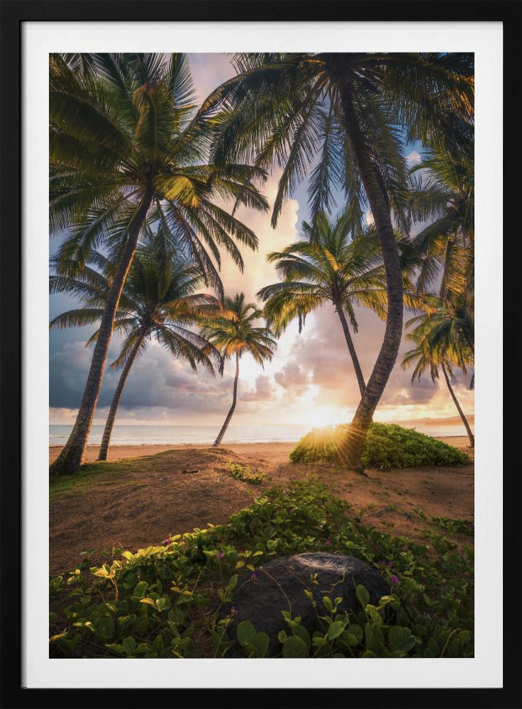 Vertikales Paradies | Poster