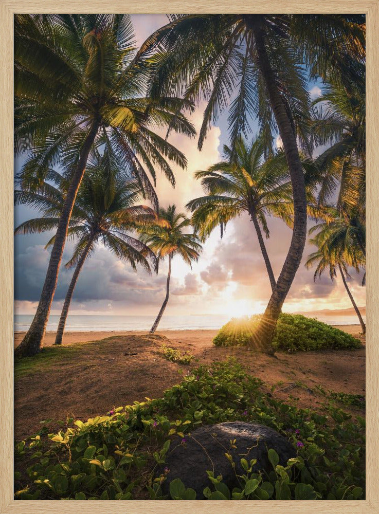 Vertikales Paradies | Poster