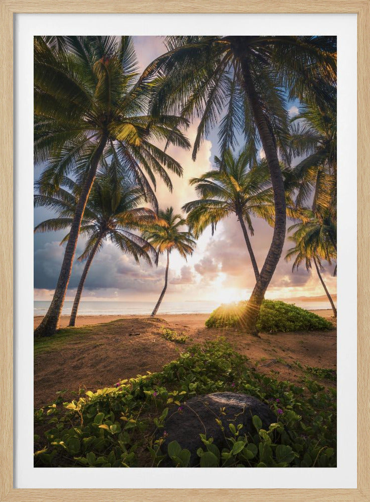 Vertikales Paradies | Poster