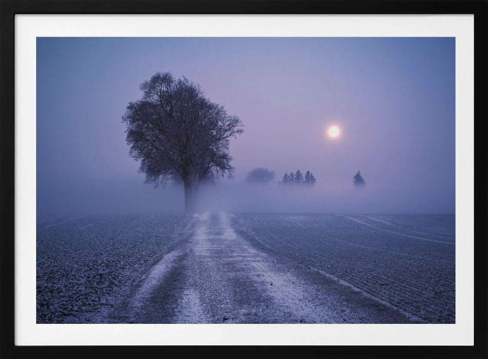 Mondbeleuchteter Pfad | Poster