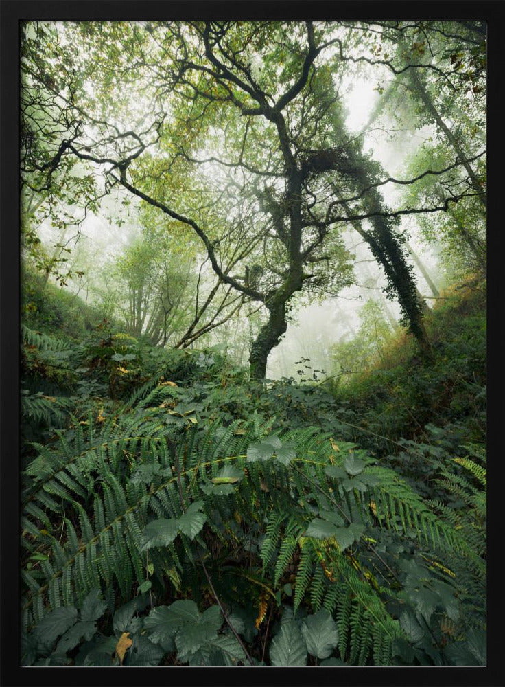 Tree World | Poster