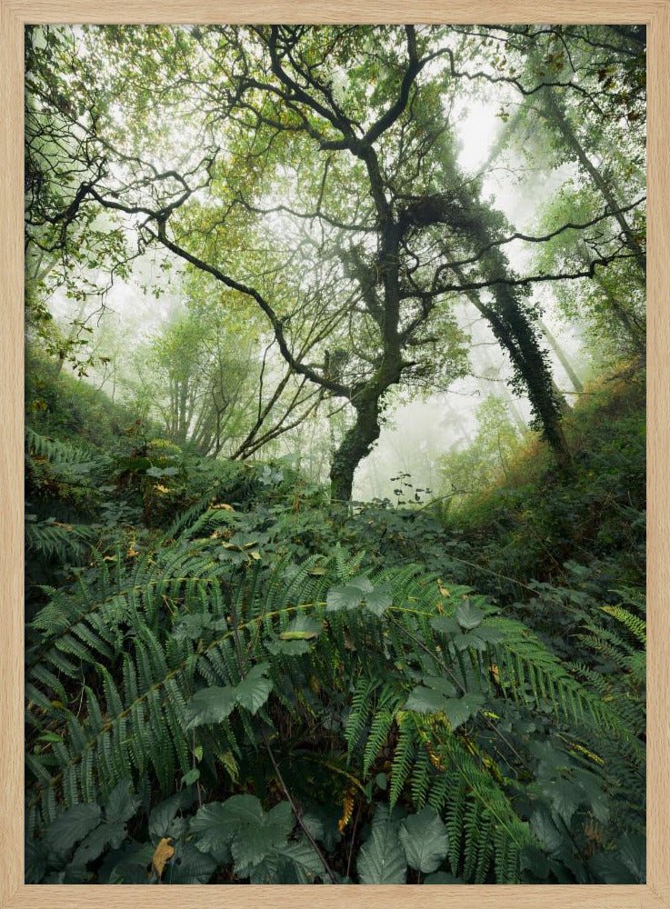 Tree World | Poster