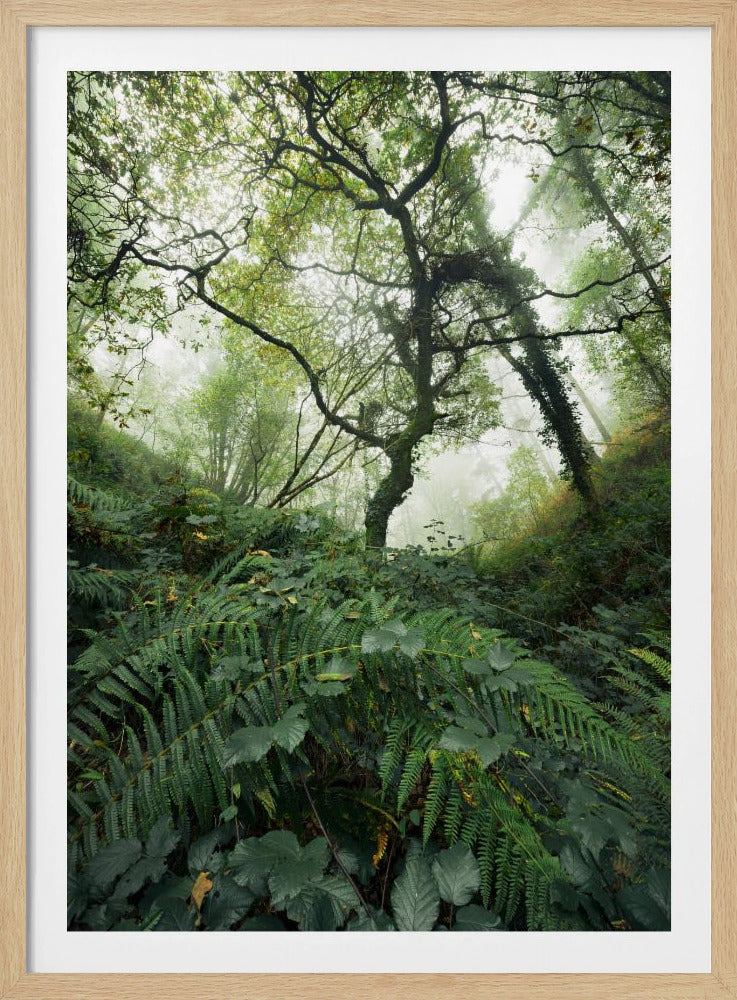 Tree World | Poster