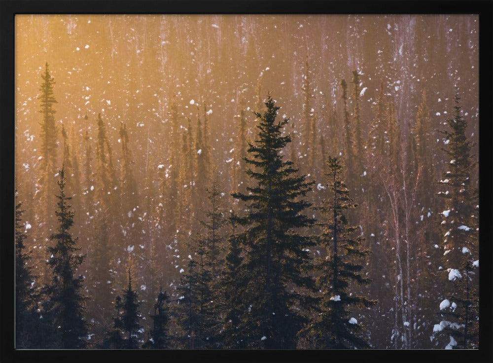 Snow Flakes | Poster