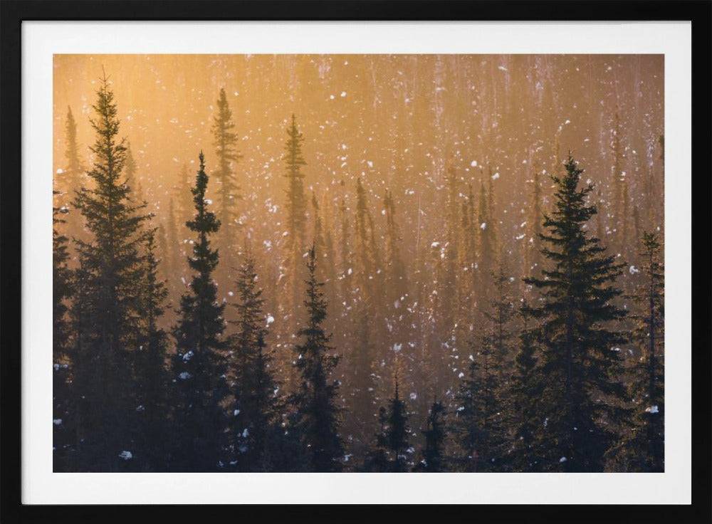 Snow Flakes | Poster