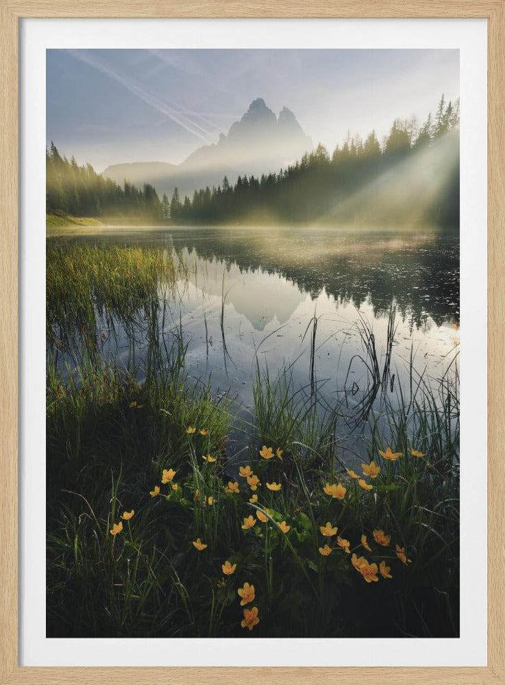 Bergparadies | Poster