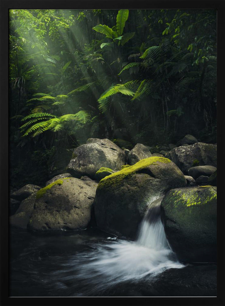 Mystischer Dschungel | Poster