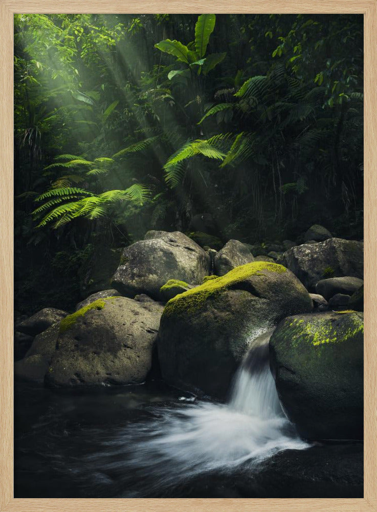 Mystischer Dschungel | Poster