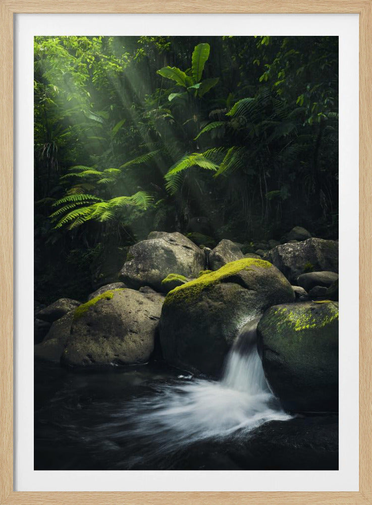Mystischer Dschungel | Poster