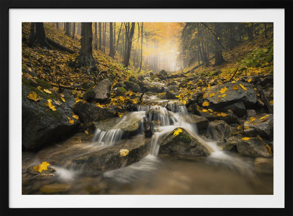 Herbstbach | Poster