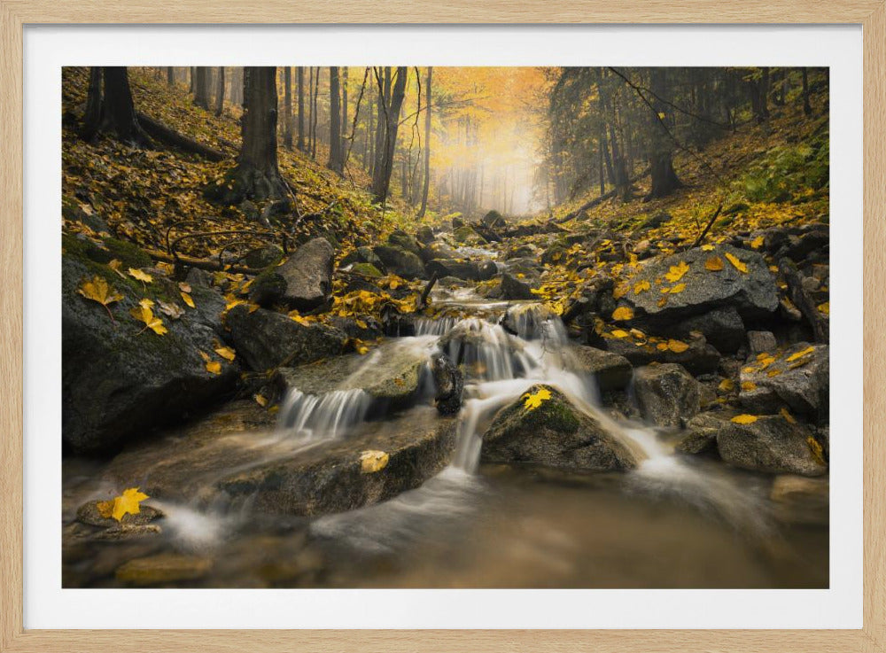 Herbstbach | Poster
