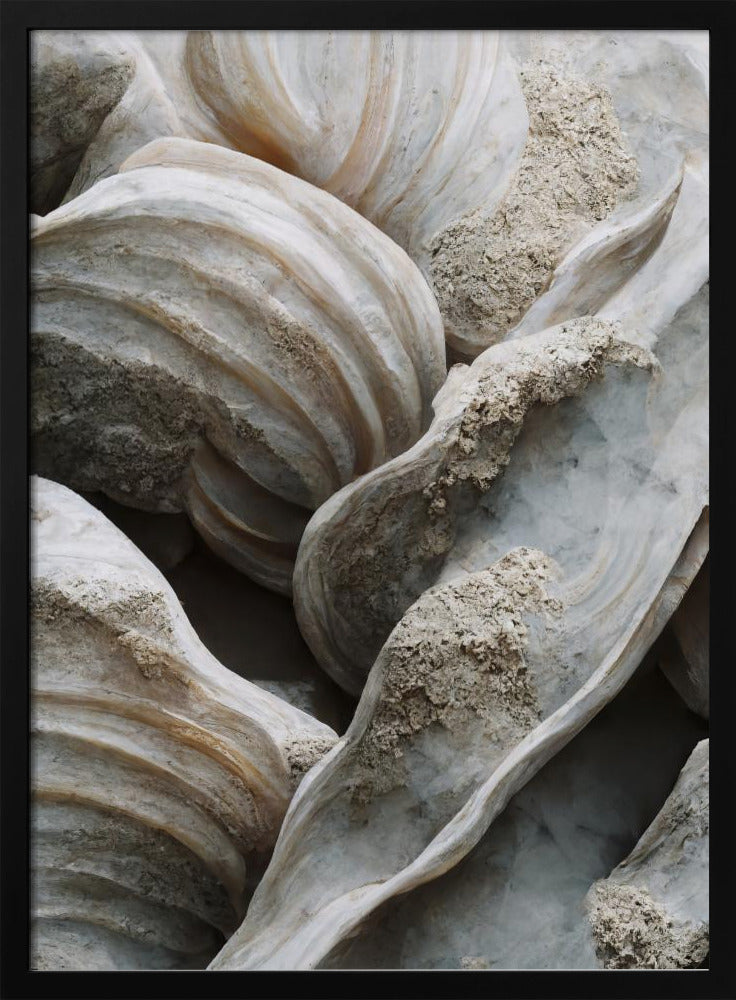 Shell Symphony | Poster