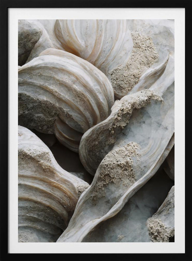 Shell Symphony | Poster