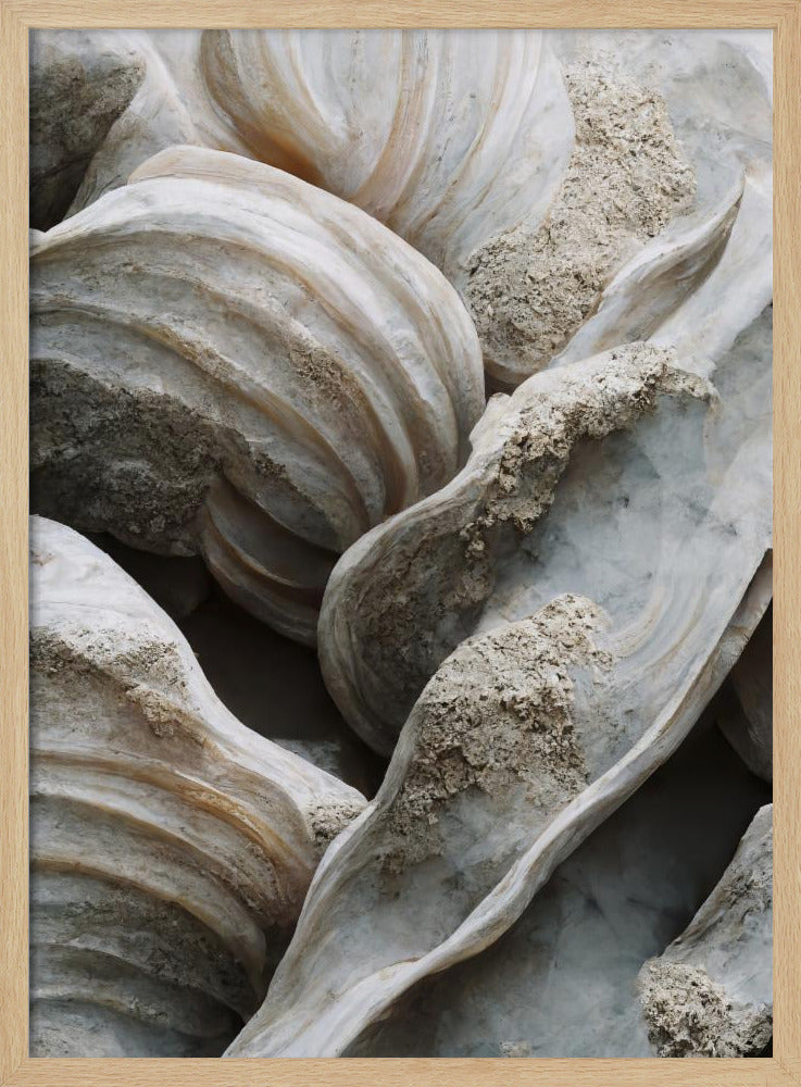 Shell Symphony | Poster