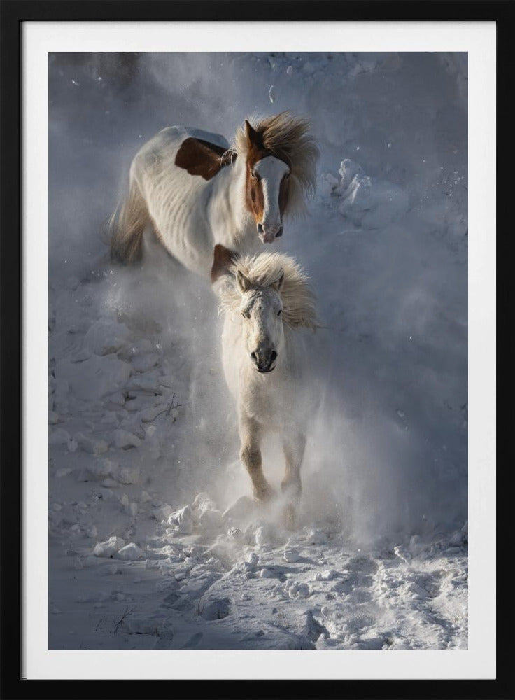 Two Horses | Poster