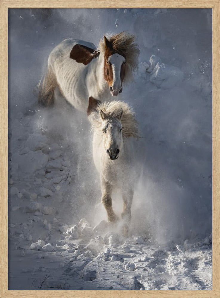 Two Horses | Poster